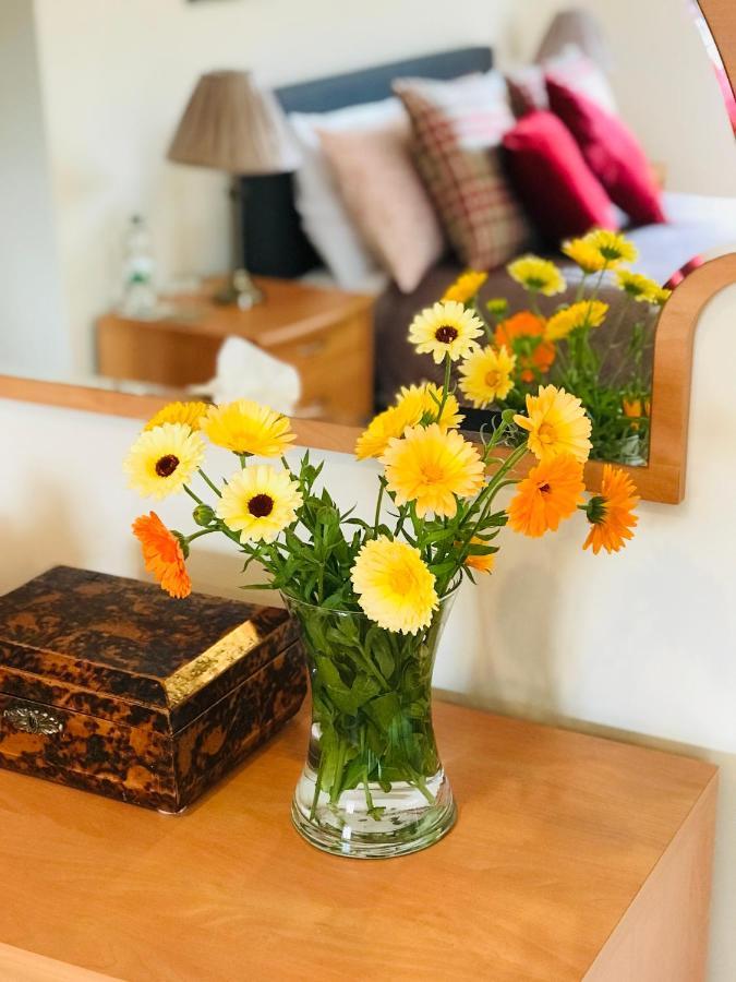 Charming Hen Cottage Countryside Retreat Lincoln Newball Екстериор снимка